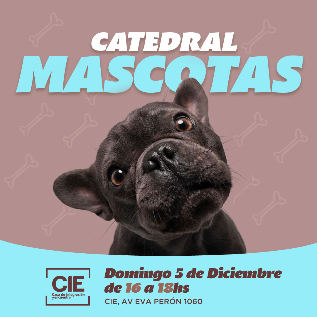 Catedral Mascotas