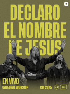 Captura de pantalla 2025-11-20 201708